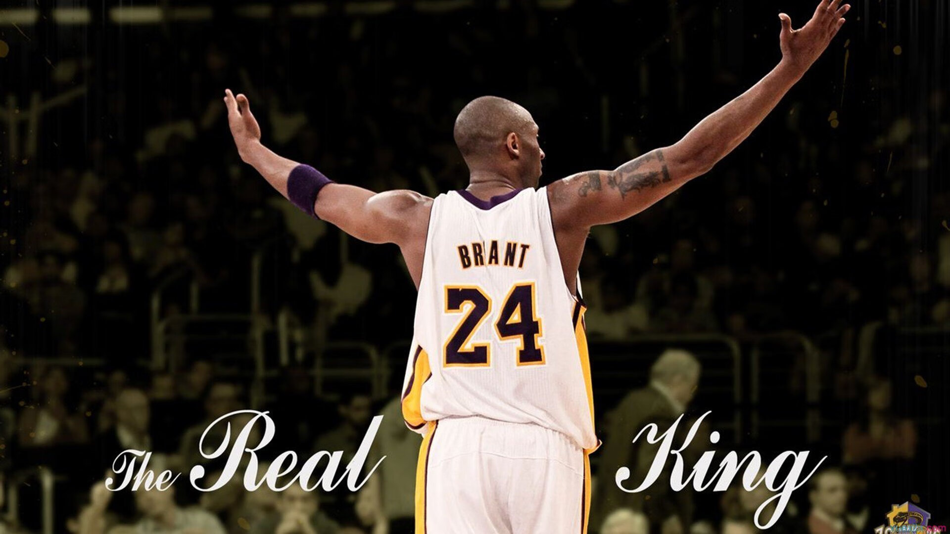 九游VIP-逆转风暴中的定海神针,陶汉林统治全场,快船翻盘公牛